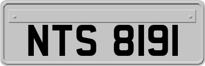 NTS8191