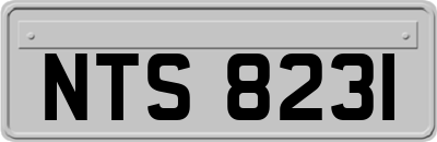 NTS8231
