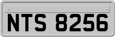 NTS8256