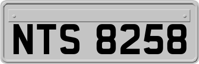 NTS8258