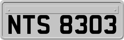 NTS8303