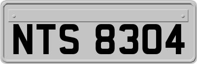 NTS8304