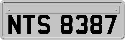 NTS8387