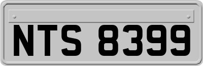 NTS8399