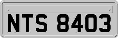 NTS8403