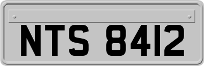 NTS8412