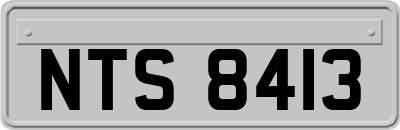 NTS8413