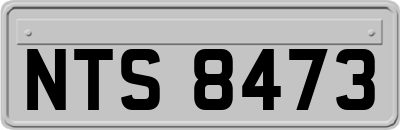NTS8473