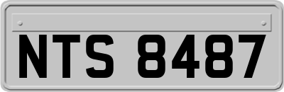 NTS8487