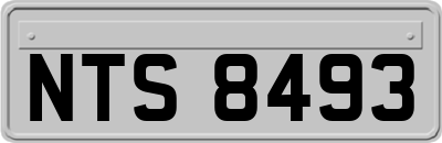 NTS8493