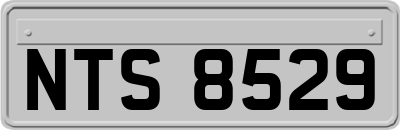 NTS8529