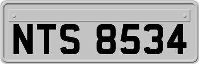 NTS8534
