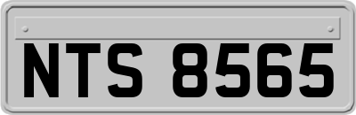 NTS8565