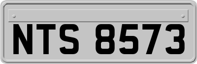 NTS8573