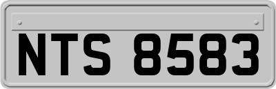 NTS8583