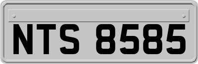 NTS8585