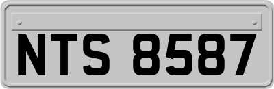 NTS8587