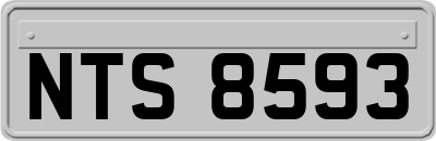 NTS8593