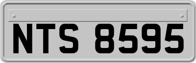 NTS8595