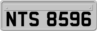 NTS8596