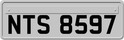 NTS8597