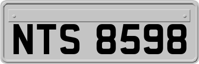 NTS8598