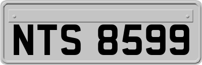 NTS8599
