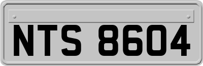 NTS8604