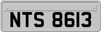NTS8613