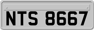 NTS8667