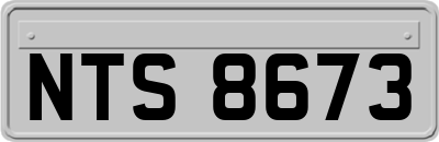NTS8673