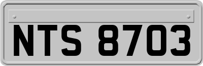 NTS8703