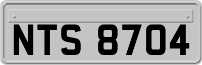 NTS8704