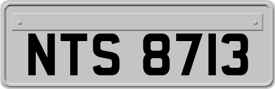 NTS8713