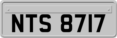 NTS8717