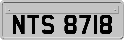 NTS8718