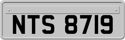 NTS8719