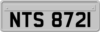 NTS8721