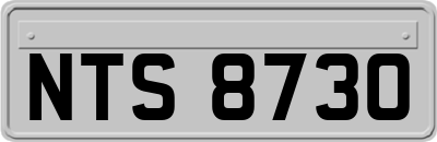 NTS8730