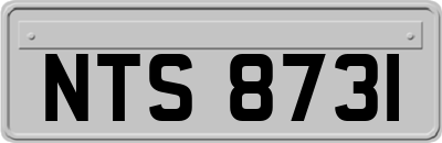 NTS8731