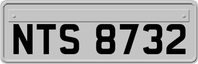 NTS8732