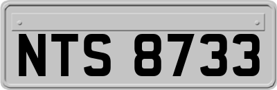 NTS8733