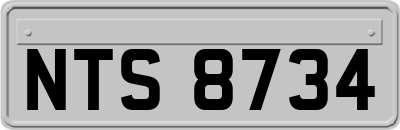 NTS8734