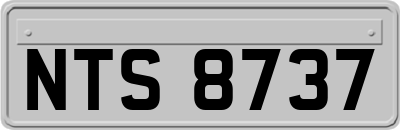 NTS8737