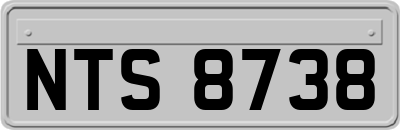 NTS8738
