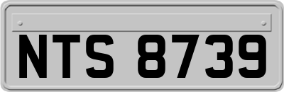 NTS8739