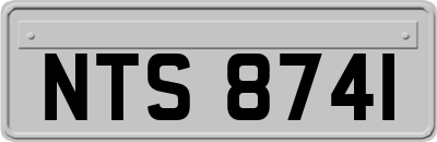 NTS8741