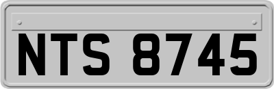 NTS8745