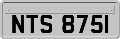 NTS8751