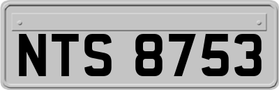 NTS8753